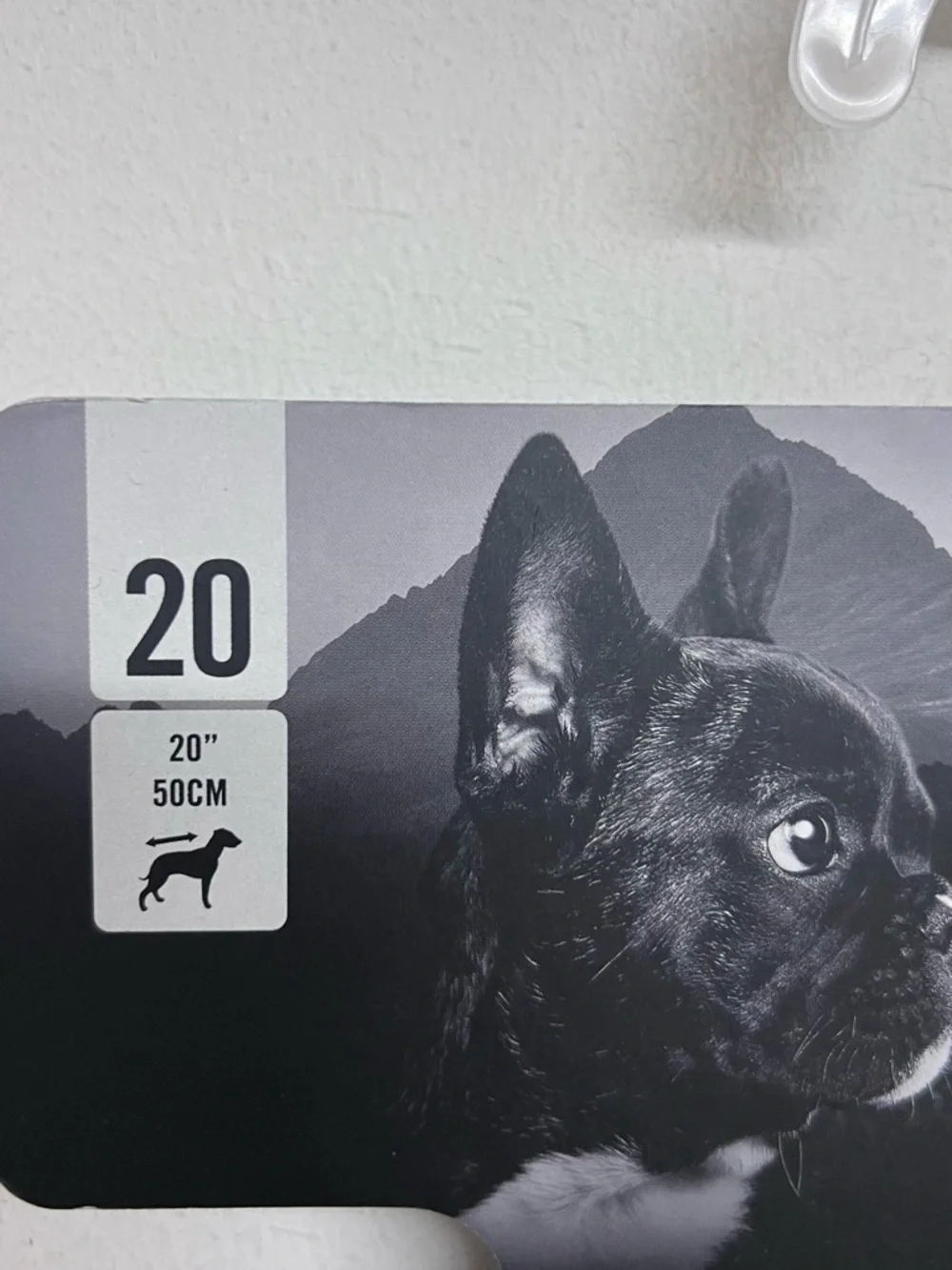 Canada Pooch new tags